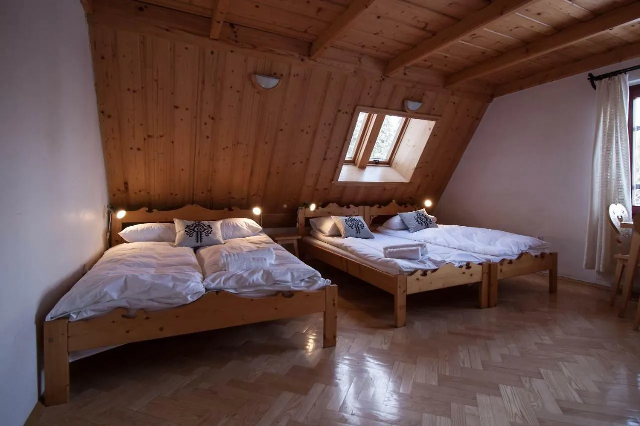 Willa Wygrodzisko Zakopane Homestay